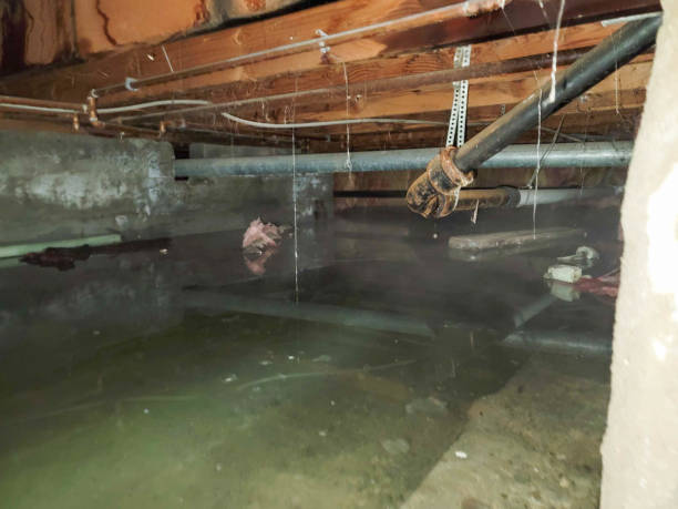 Best Fire Damage Restoration  in Maplewood, MO