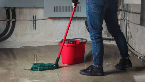 Best Ceiling water damage repair  in Maplewood, MO