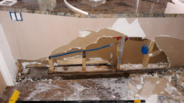 Best Water damage cleanup near me  in Maplewood, MO