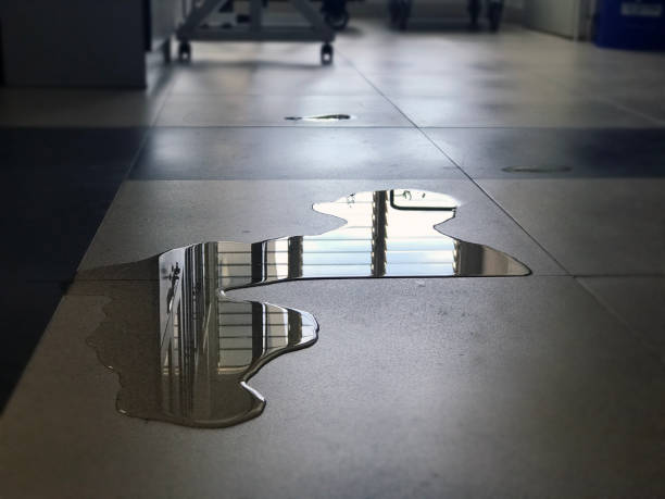 Best Water damage contractors near me  in Maplewood, MO