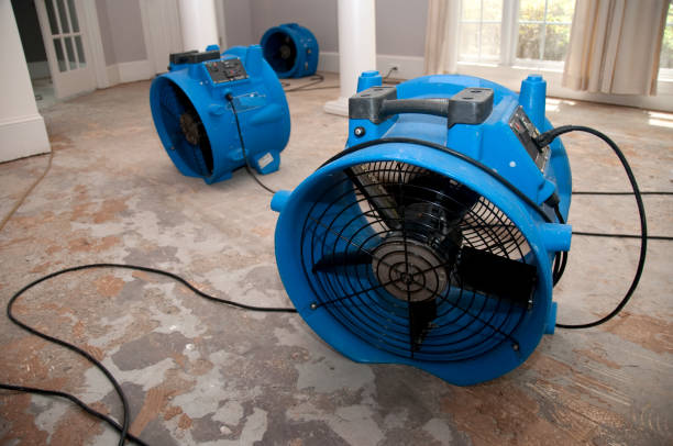 Best Commercial water damage restoration  in Maplewood, MO