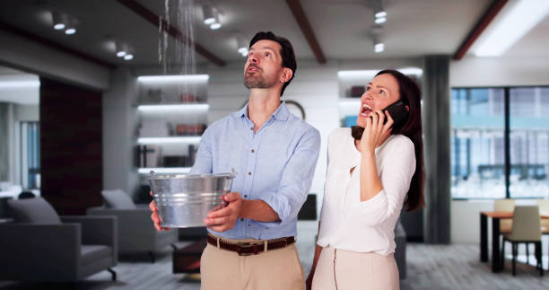 Best Ceiling water damage repair  in Maplewood, MO